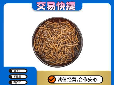 阜阳临泉县高价回收散虫草